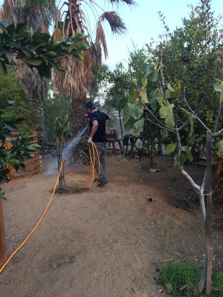 הדברת פרעושים בלחץ גבוה ומתן עד חצי שנה אחריות