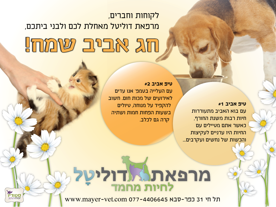 מרפאת דוליטל