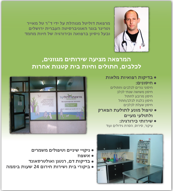 מרפאת דוליטל