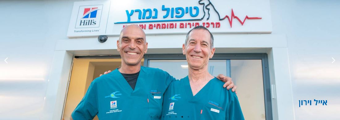 אייל וירון