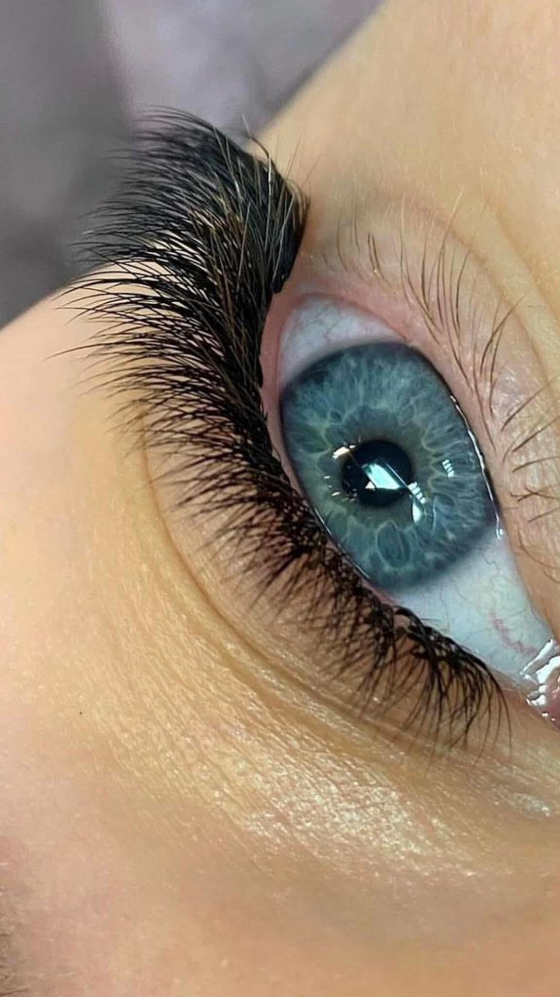 Polines Lash