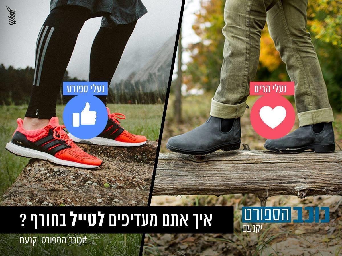 כוכב הספורט 