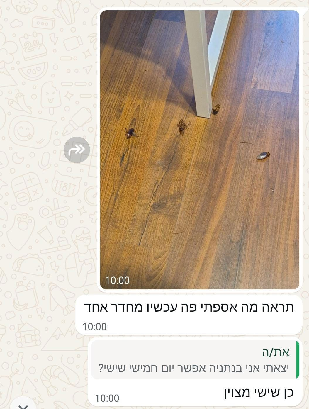 לקוח מרוצה 