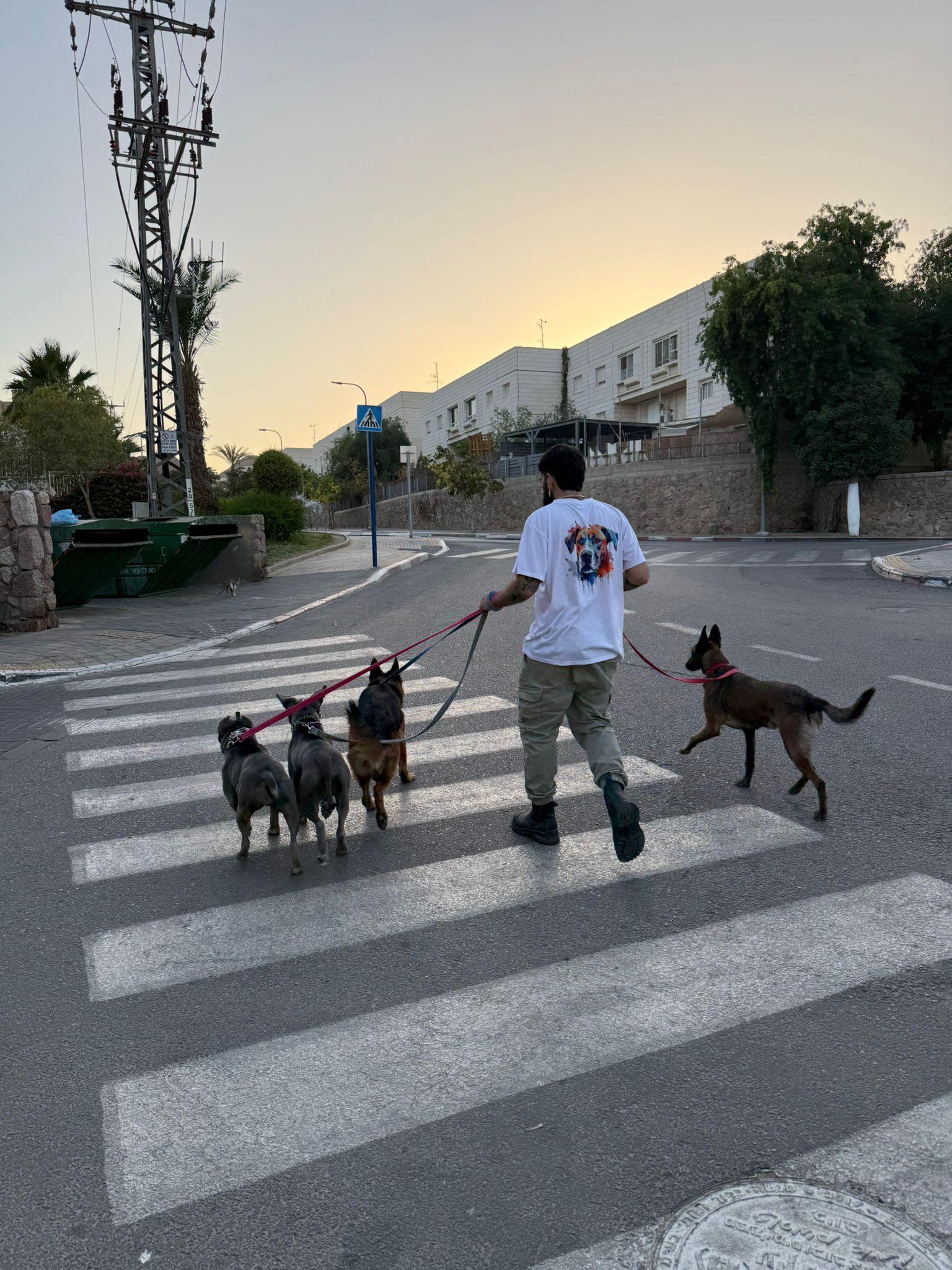 פנסיון כלבים באילת