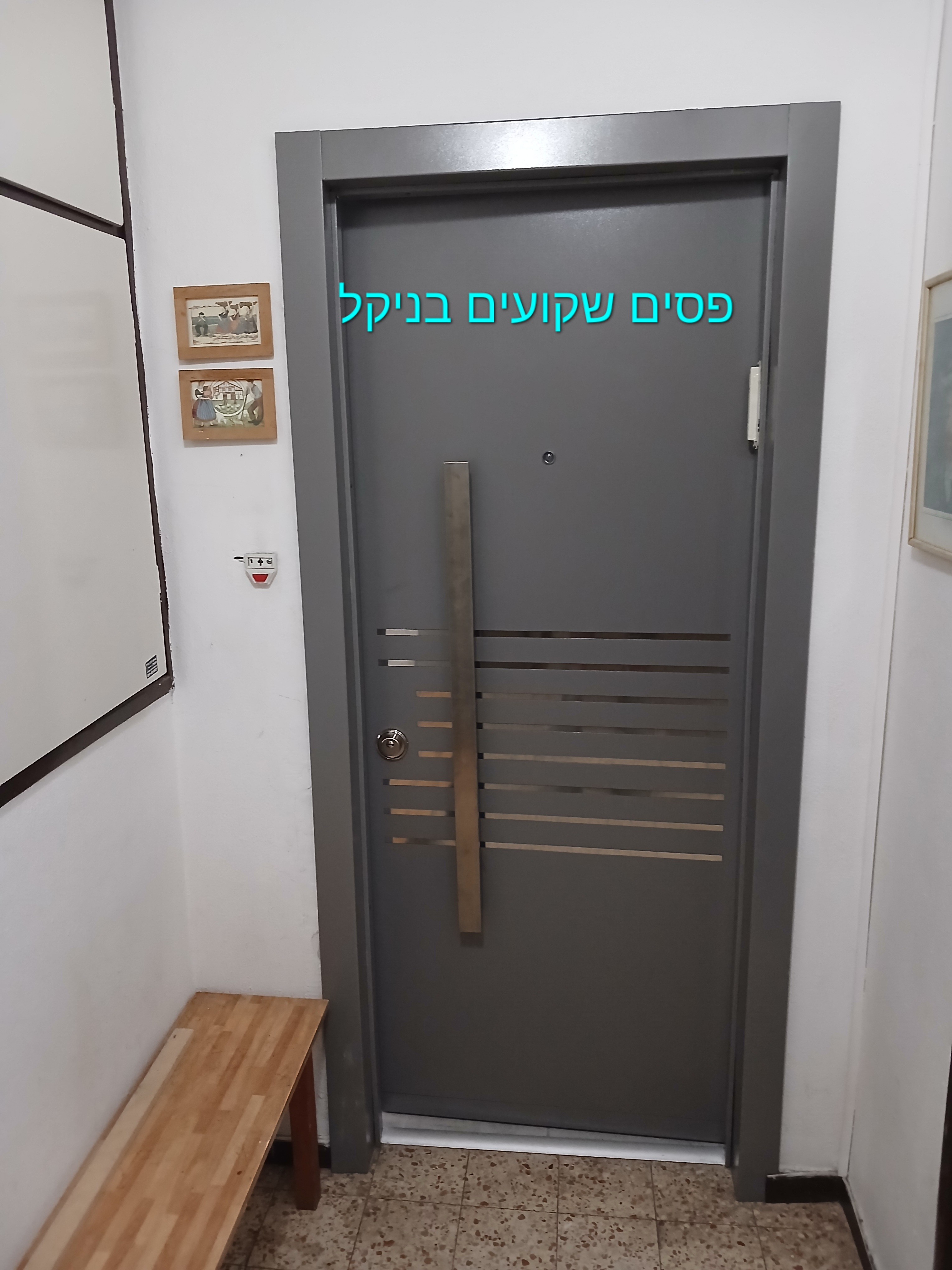 דלת פלדלת במגוון עיצובים לבחיר