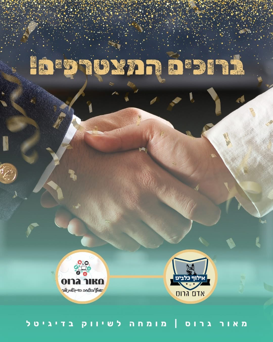 אדם גרוס אילוף כלבים