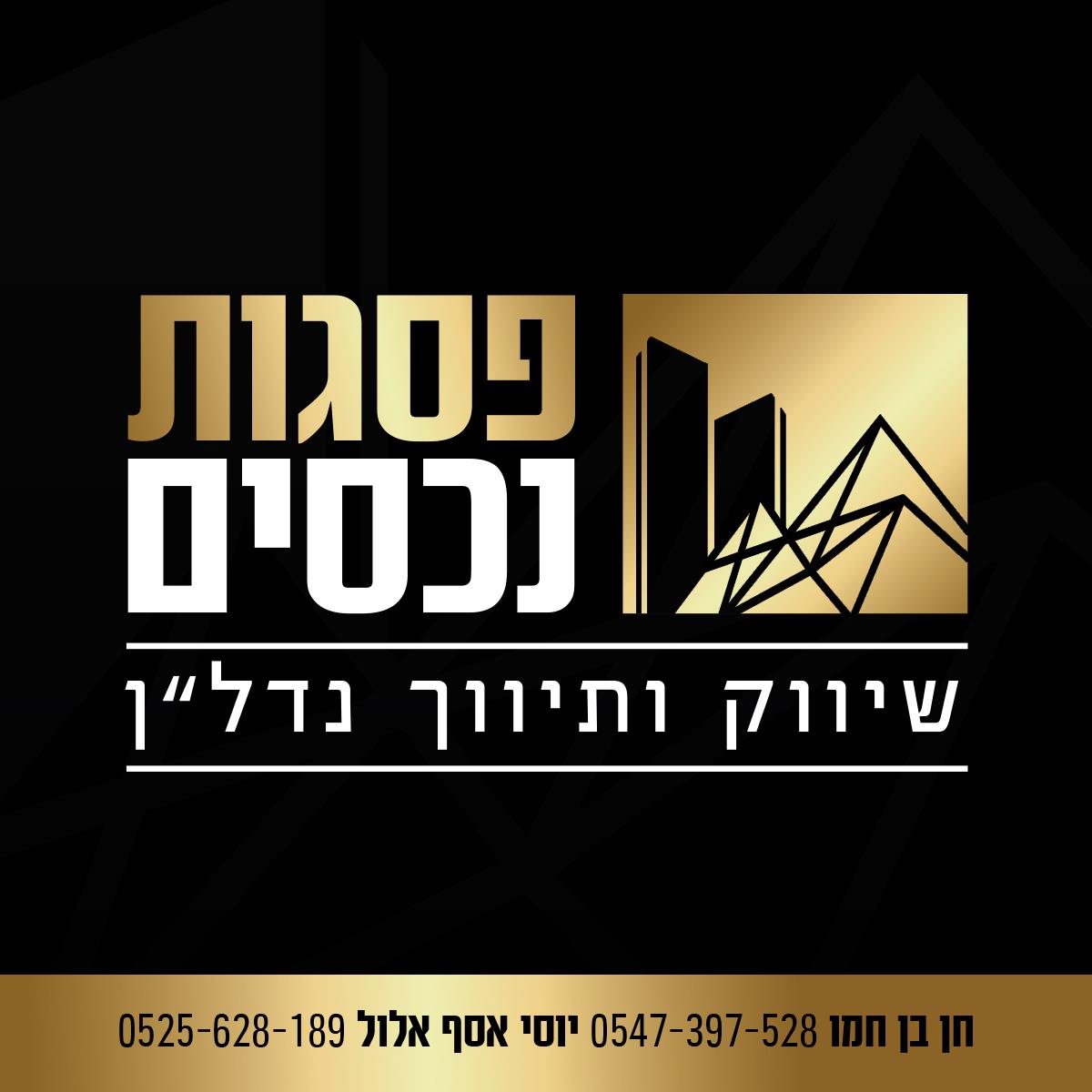 פסגות נכסים כרמיאל 