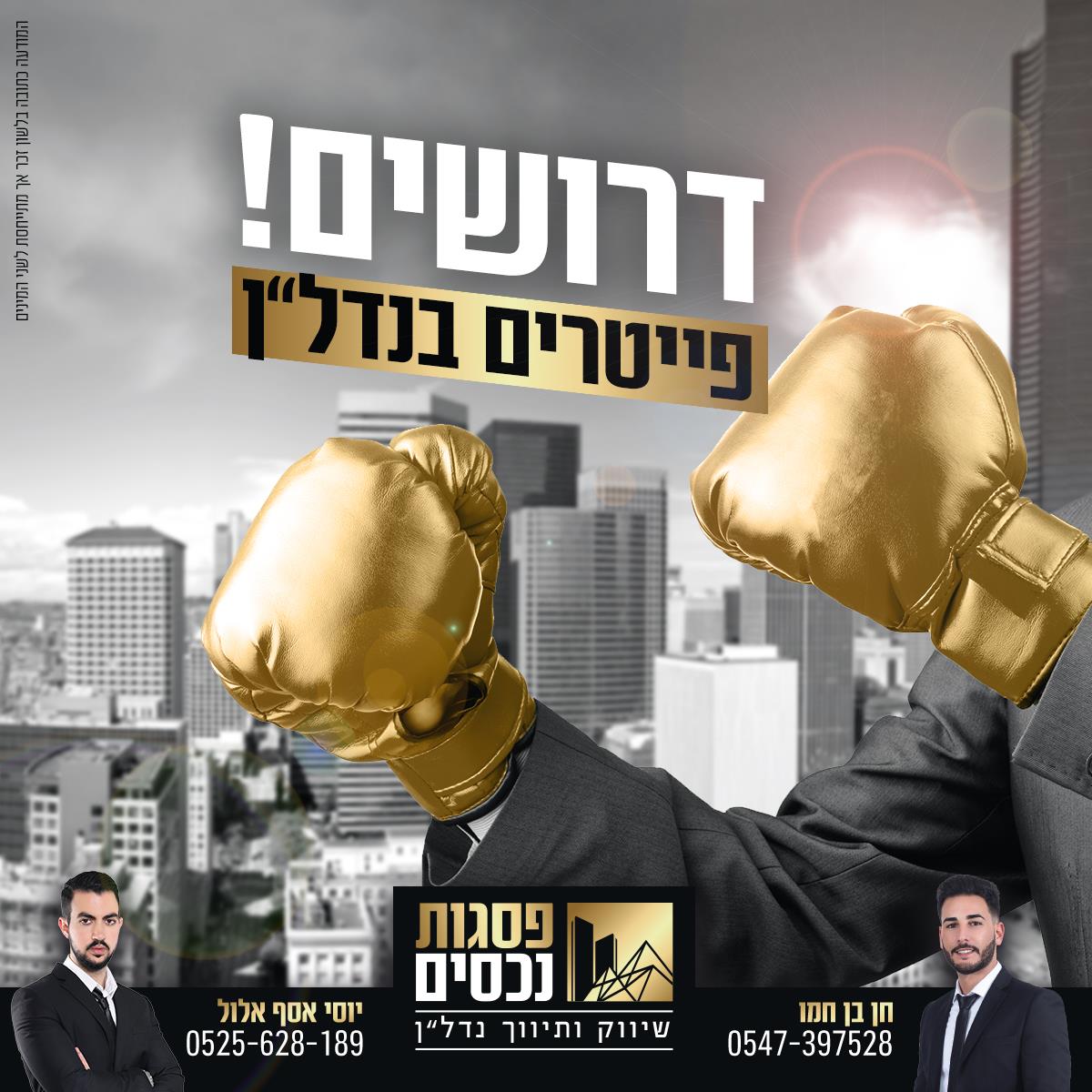 פסגות נכסים כרמיאל 