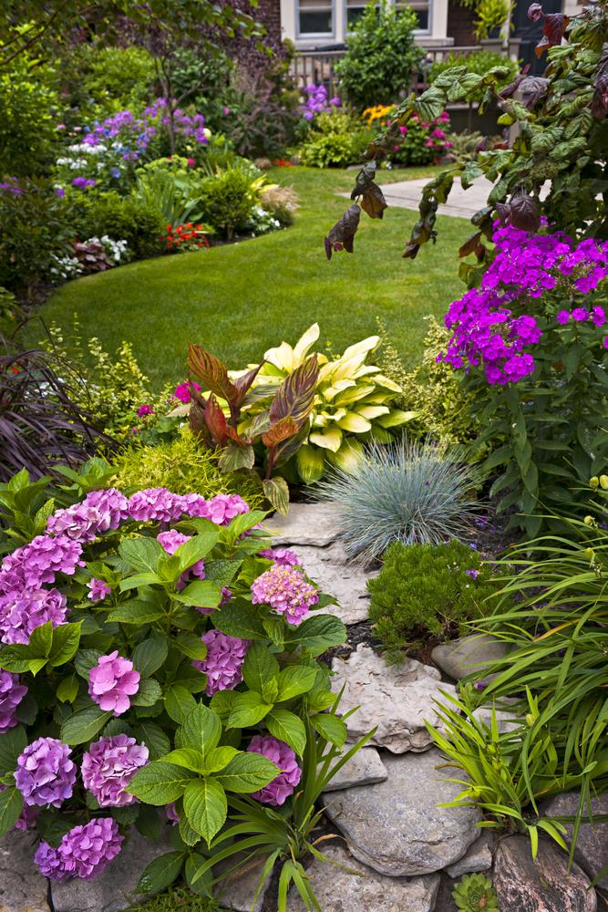 Garden Design - גינון ברמה אחר