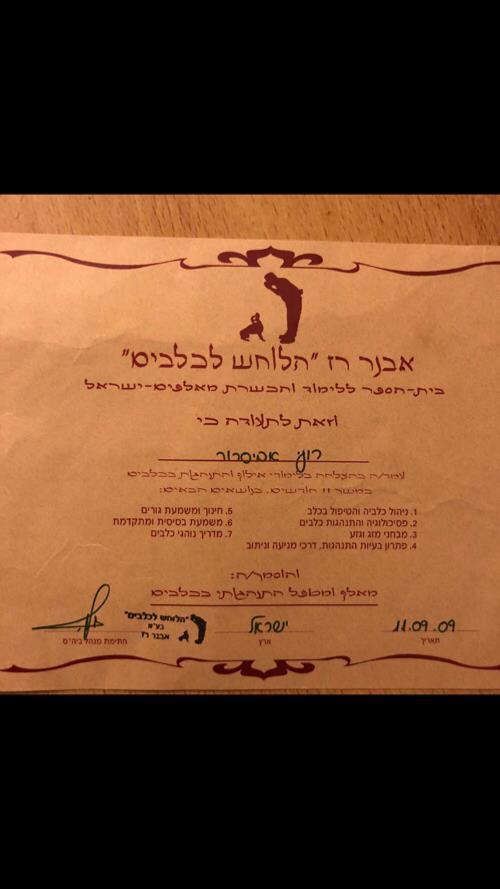הכשרה אילוף