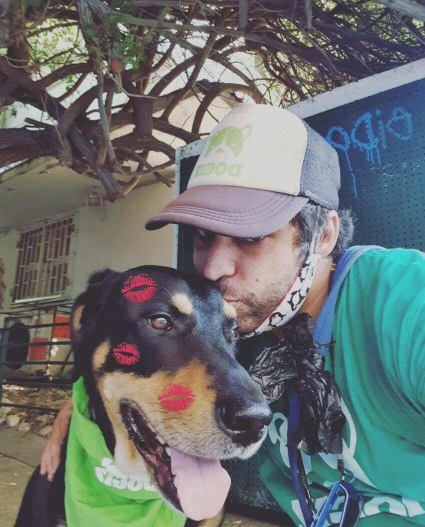 Dogiz